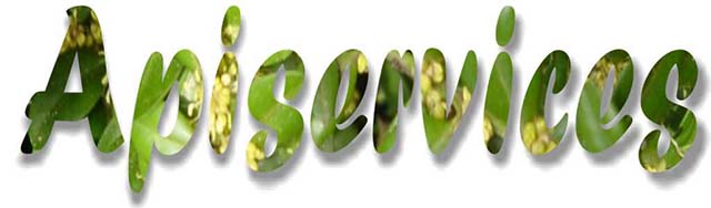 Apiservices